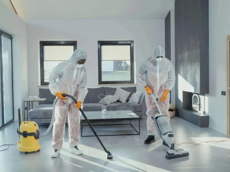 pest control Sandy bay Tasmania