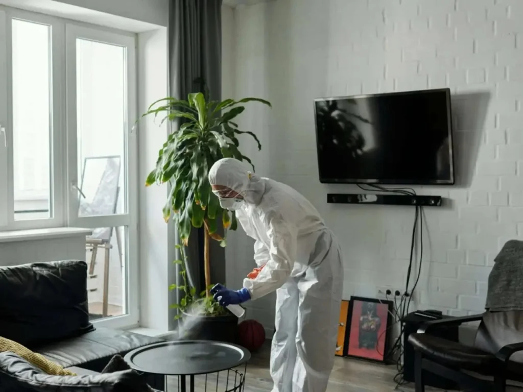 Emergency pest control treatment in Hobart